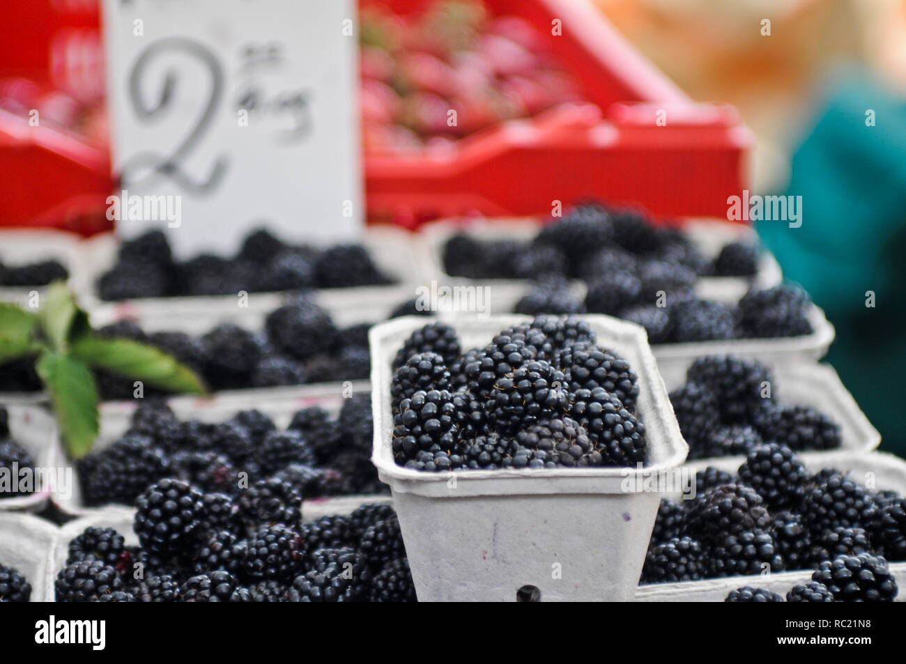 Raspberries in a fruit store. Riga Central Market (Centraltirgus), Latvia Stock Photo