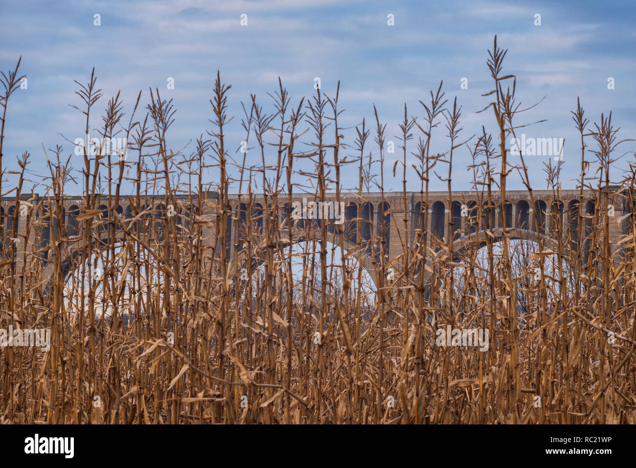 Tunkhannock Creek Viaduct, is a concrete deck arch bridge on the