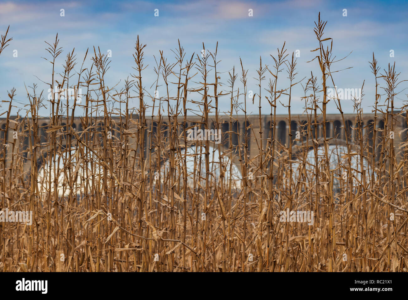 Tunkhannock Creek Viaduct, is a concrete deck arch bridge on the