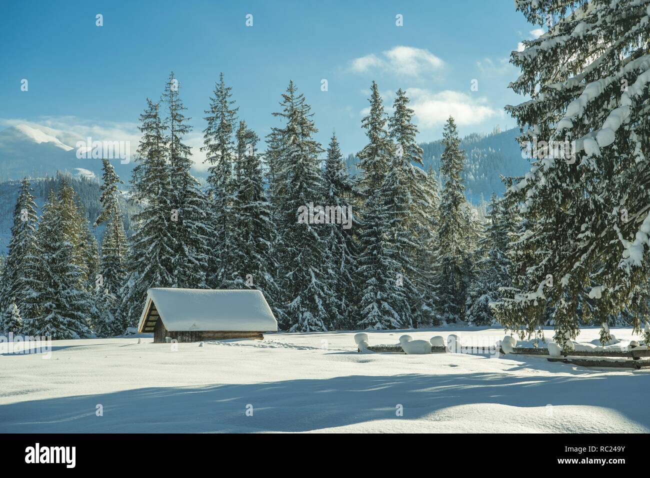 Wooden Cabin Covered by Heavy Snow and the Winter Landscape Stock Photo ...