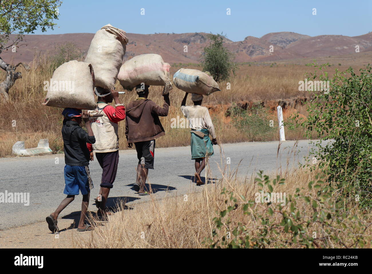 Malagasy people carrying sacks after a day of work in Madagascar countryside Stock Photo