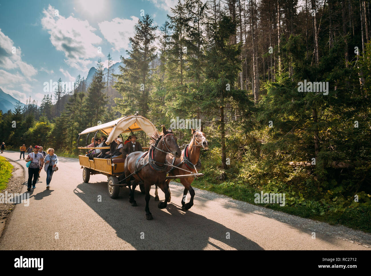 Tatra National Park, Poland - August 29, 2018: Man In National Traditional Polish Folk Ethnic Costumes Ride A Cart Harnessed By A Pair Of Horses Along Stock Photo