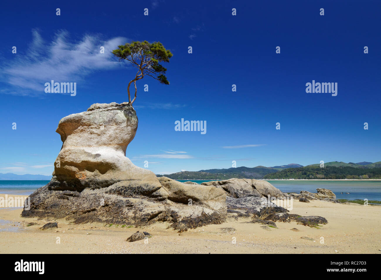 Tasman bay hi-res stock photography and images - Alamy
