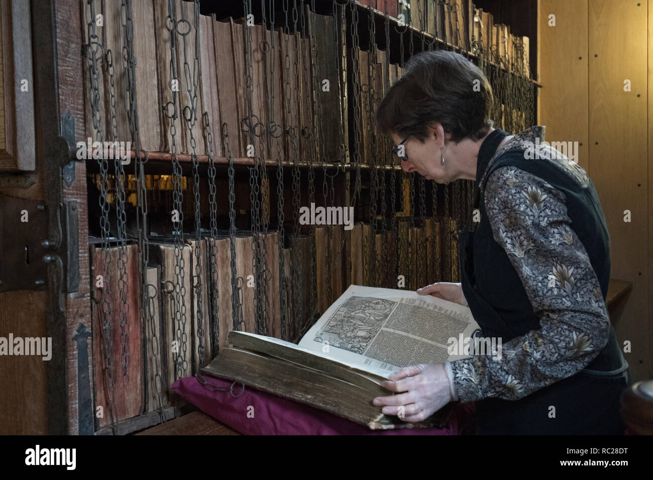 Dr Rosemary Firman inspects Foxe's Book of Martyrs during the annual clean of the Hereford Chained Library at Hereford Cathedral, Herefordshire. The chaining of books was the most widespread and effective security system in European libraries from the Middle Ages to the 18th century, and Hereford Cathedral's 17th-century Chained Library is the largest to survive with all its chains, rods and locks intact. Stock Photo