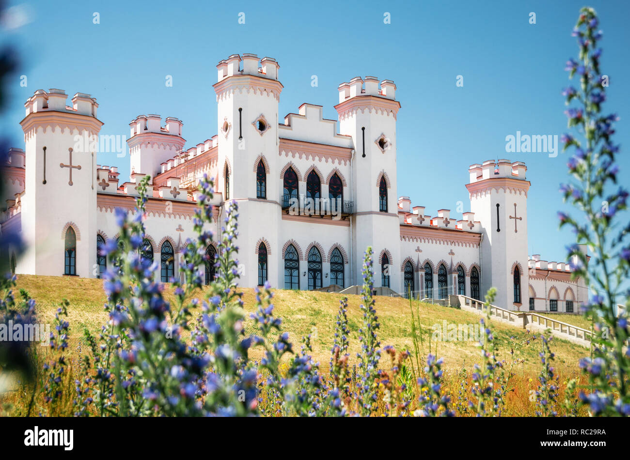 View Puslowski palace through lavandula flowers in Kosava in summertime, Belarus Stock Photo