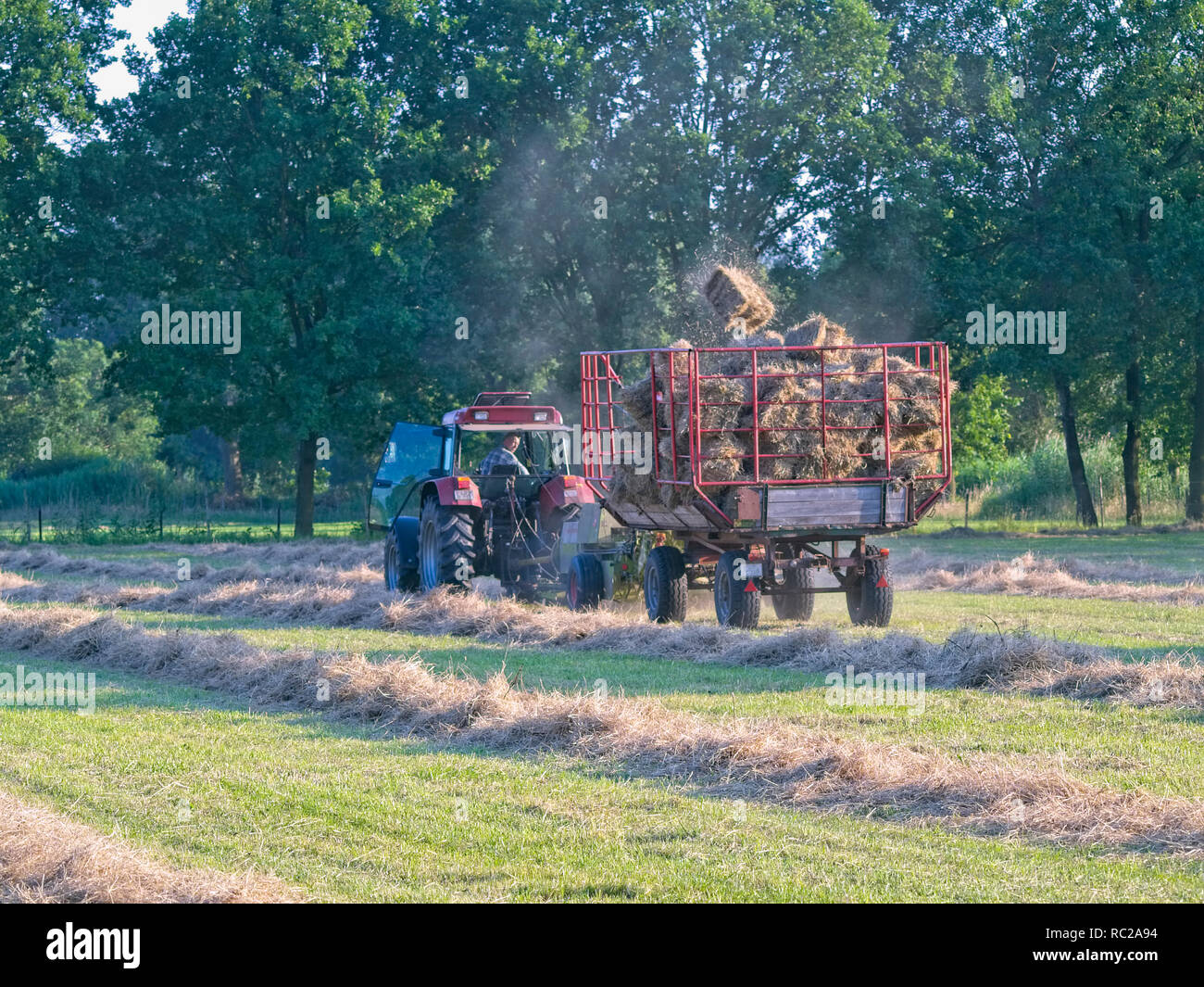 Farmer on his tractor coupled with a trailer picking up bales of hay