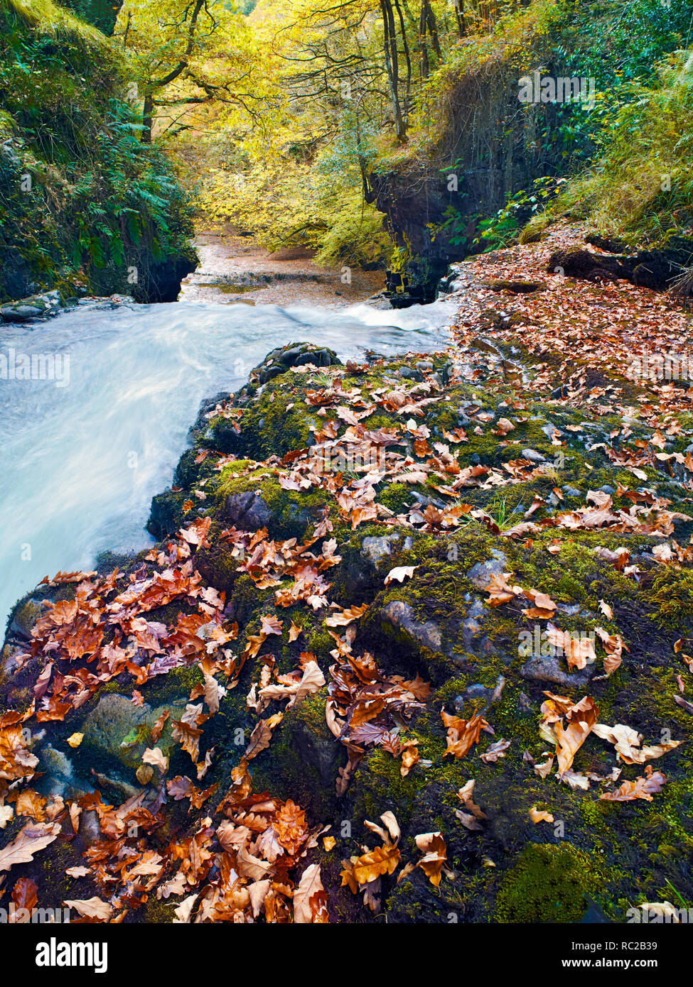 An autumn fall view of the River Nedd Fechan  in the Brecon Beacons National Park. Stock Photo