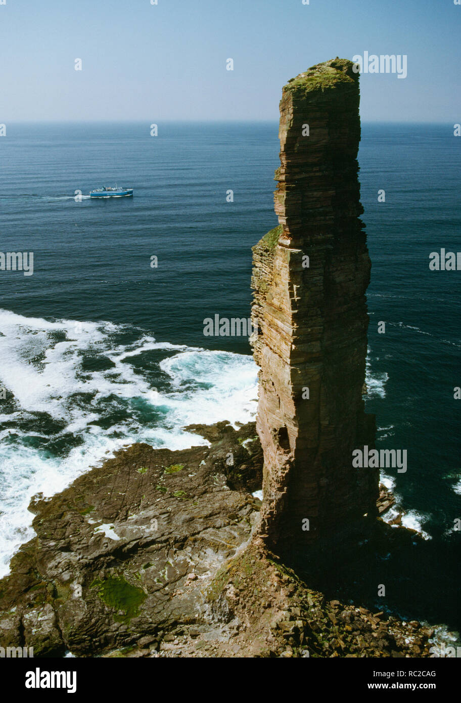 Old Man of Hoy rock stack from the cliffs of Hoy, Orkney, Scotland. The third of many St Ola (III) Stromness to Scrabster ferrys in background. 1987 Stock Photo
