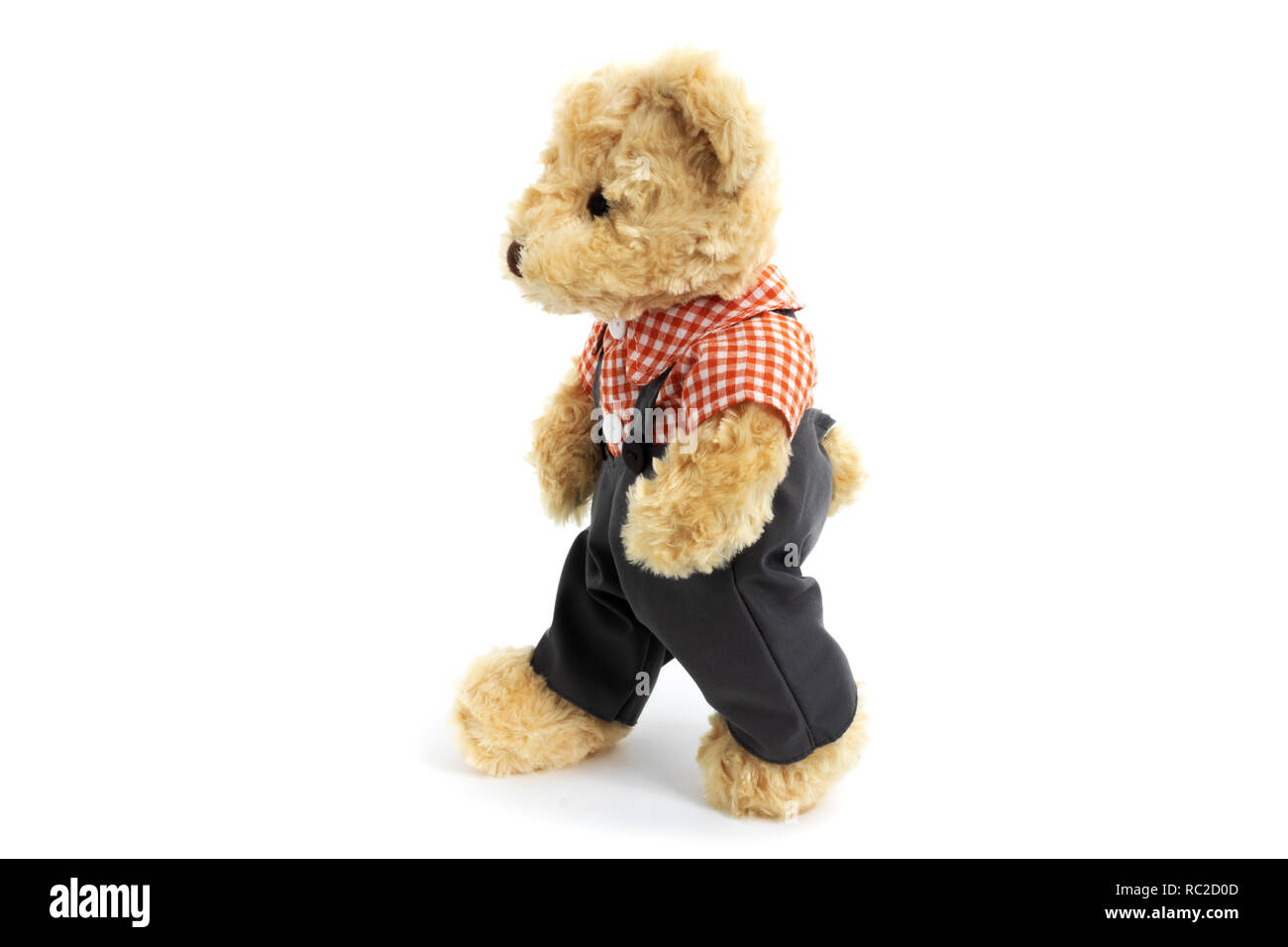 walking teddy bear toy