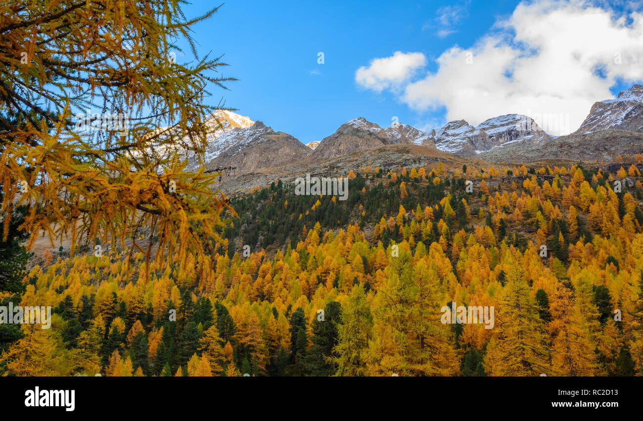 Dolomites Mountains, autumn landscape in the The Martello valley in South Tyrol in the Stelvio National Park, Alps, northern Italy, Europe. Stock Photo