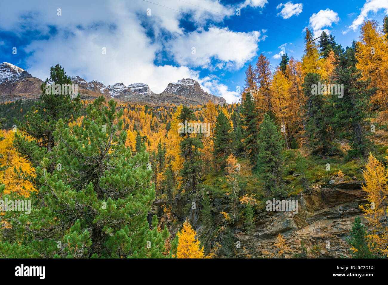 Dolomites Mountains, autumn landscape in the The Martello valley in South Tyrol in the Stelvio National Park, Alps, northern Italy, Europe. Beauty of  Stock Photo