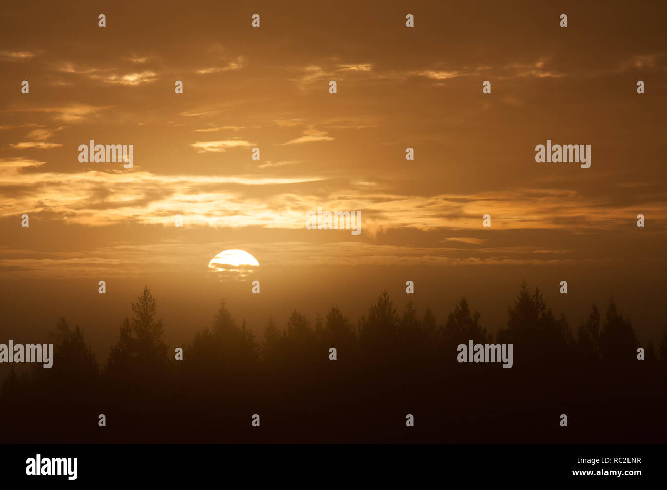 Early foggy morning sunrise above forest Stock Photo - Alamy