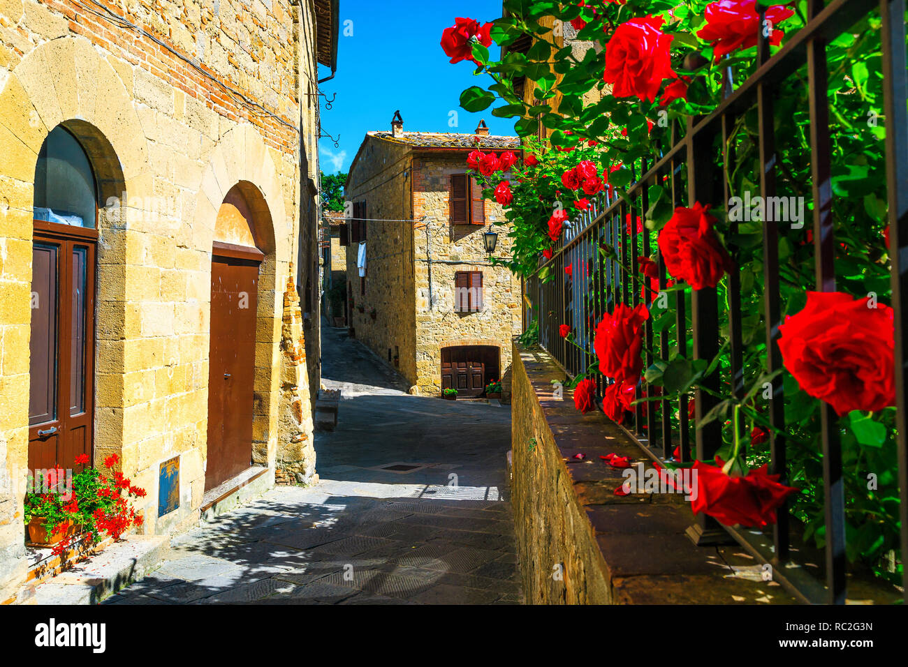 Wonderful narrow ornamental street with flowered garden. Beautiful entrance and old paved street view decorated garden with colorful red roses in Mont Stock Photo