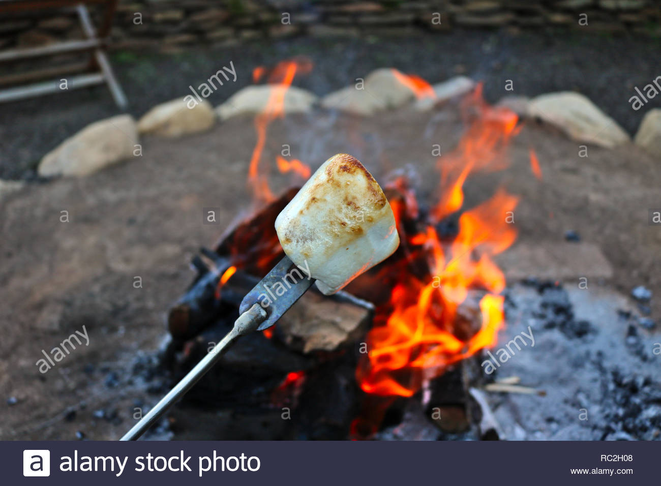Caramelized Marshmallow On A Stick At An Outdoor Firepit In The