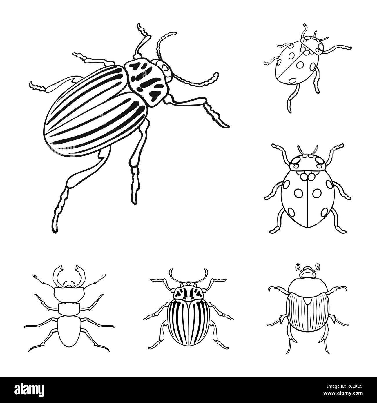 Premium Vector  Beetle logo symbol stencil design tattoo vector  illustration