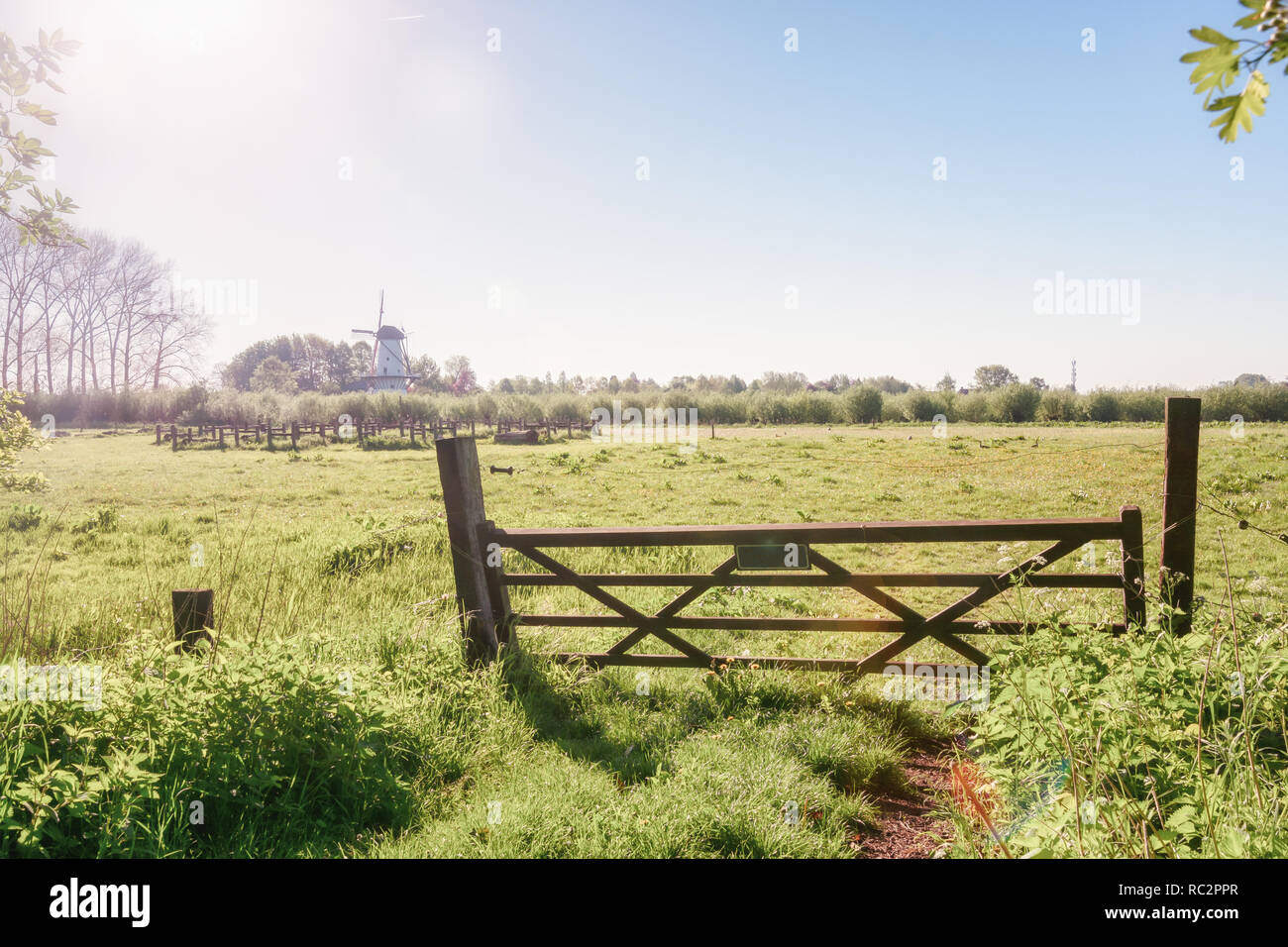 The beautiful river landscape of the river Linge with the windmill De Vlinder in the background in the Betuwe region in the Netherlands Stock Photo