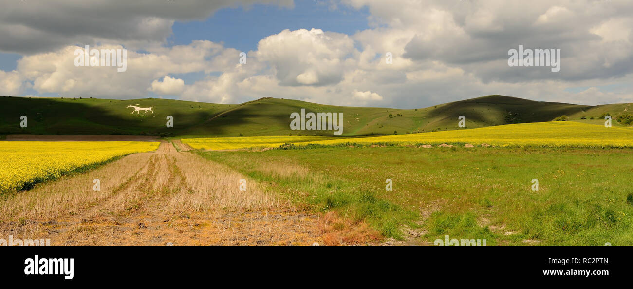Milk hill white horse hires stock photography and images Alamy