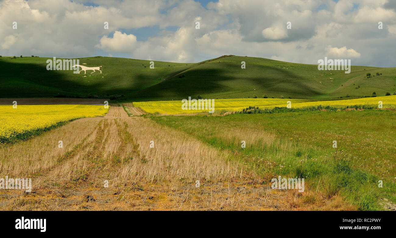 Milk hill white horse hires stock photography and images Alamy
