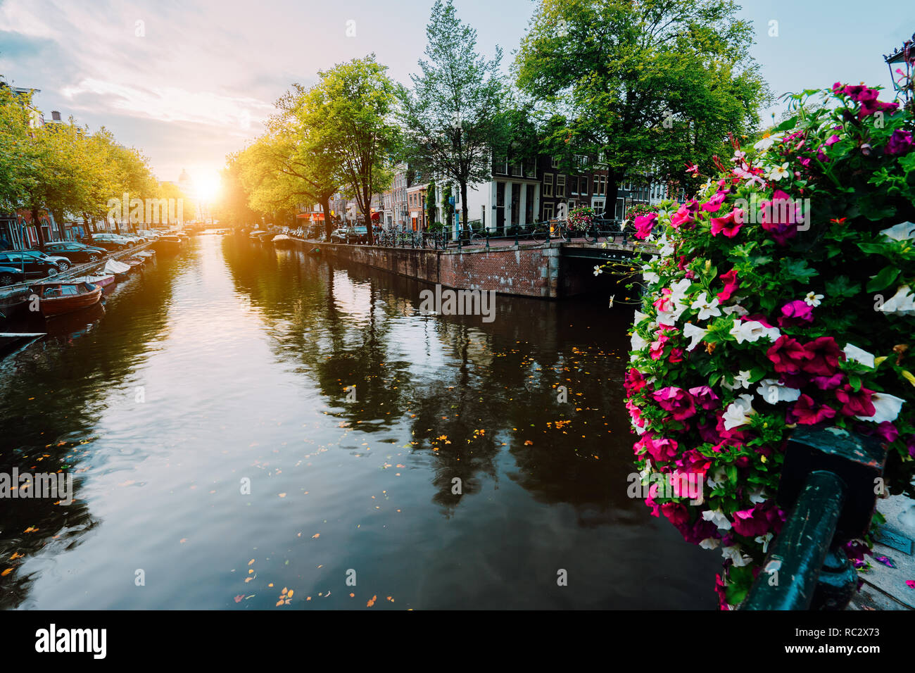 Autumn sunset on the streets and canals of Amsterdam. Befutiful flowers