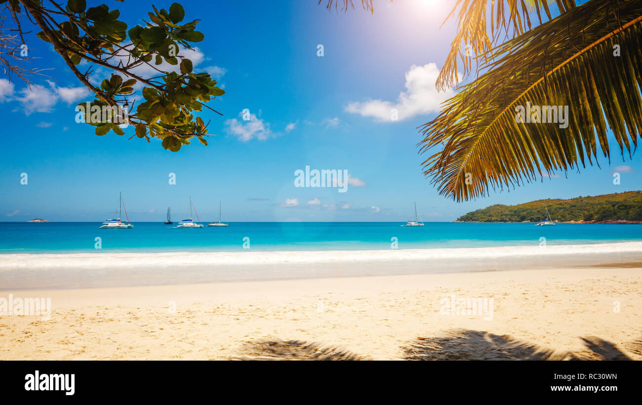 Art Beautiful sunset over the tropical beach Stock Photo - Alamy