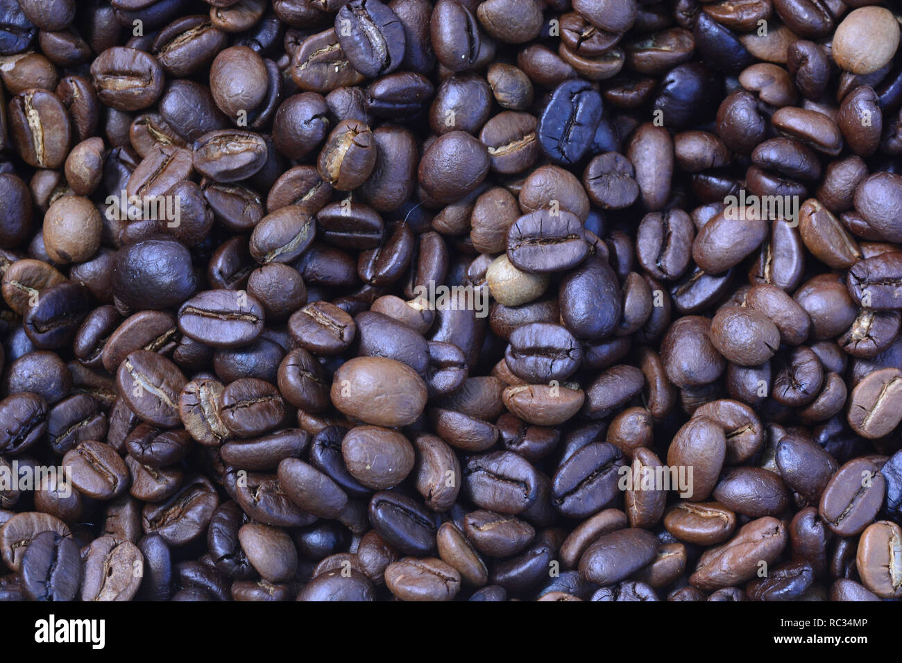 roasted arabica coffee beans, can be used as a background Stock Photo ...