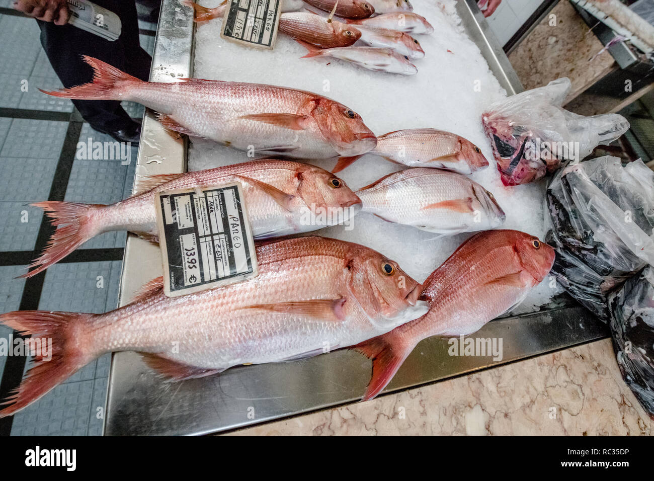Funchal indoor fish market. Stock Photo