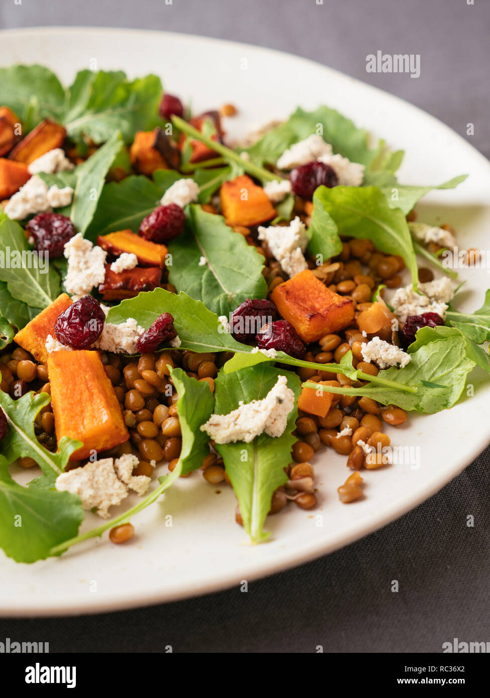 Plate with a lentil, winter squash salad with home made vegan feta Stock Photo