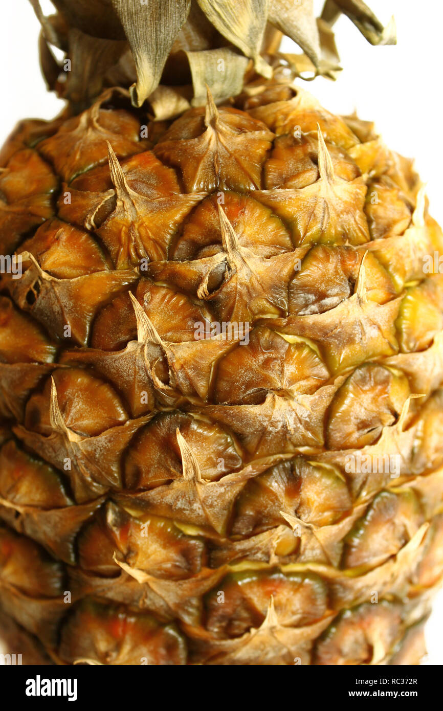 closeup of pineapple isolated on white background Stock Photo - Alamy