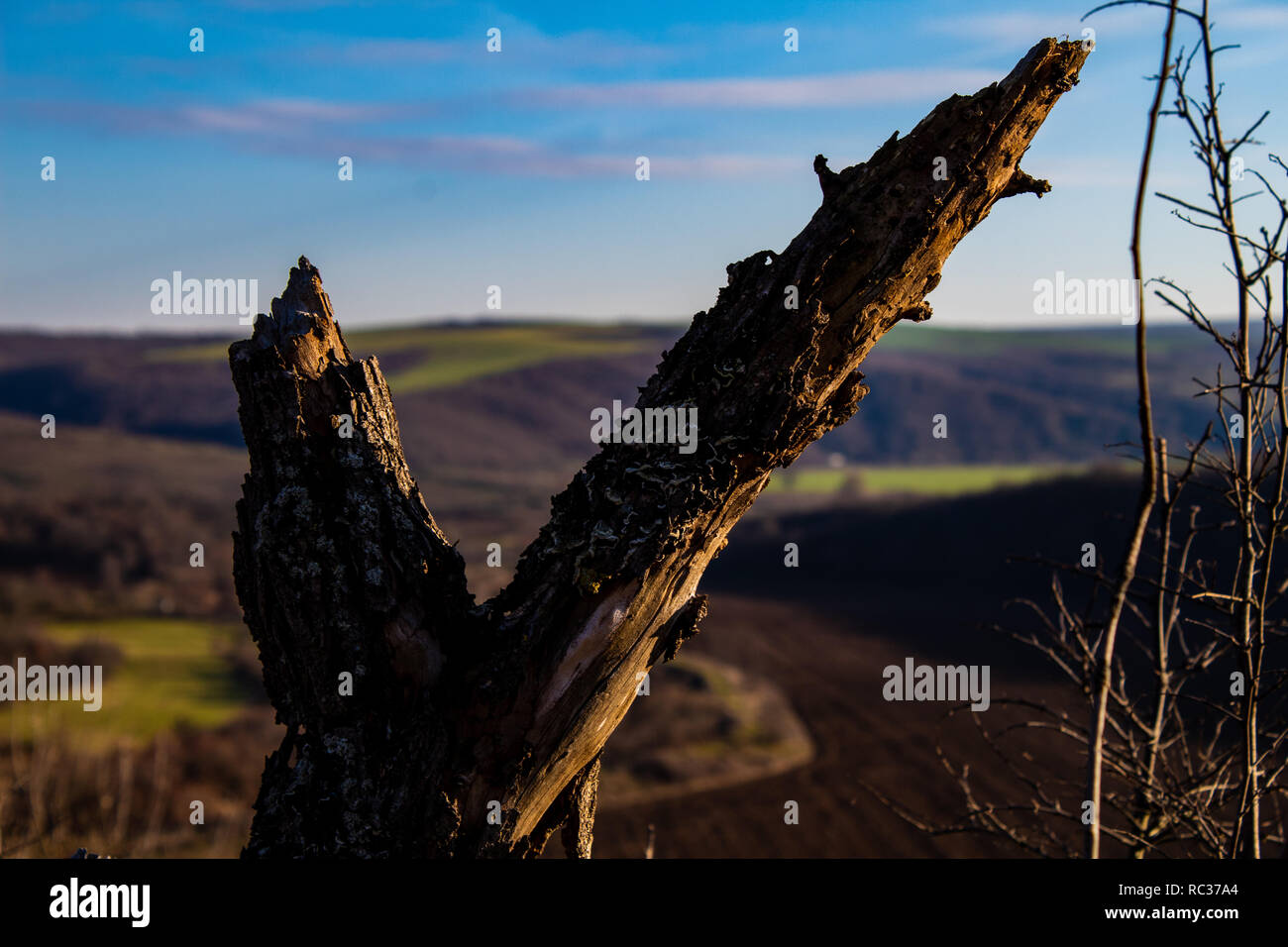 Looking through a V shaped dead tree branch at the foothills of the Strandzha mountains Stock Photo
