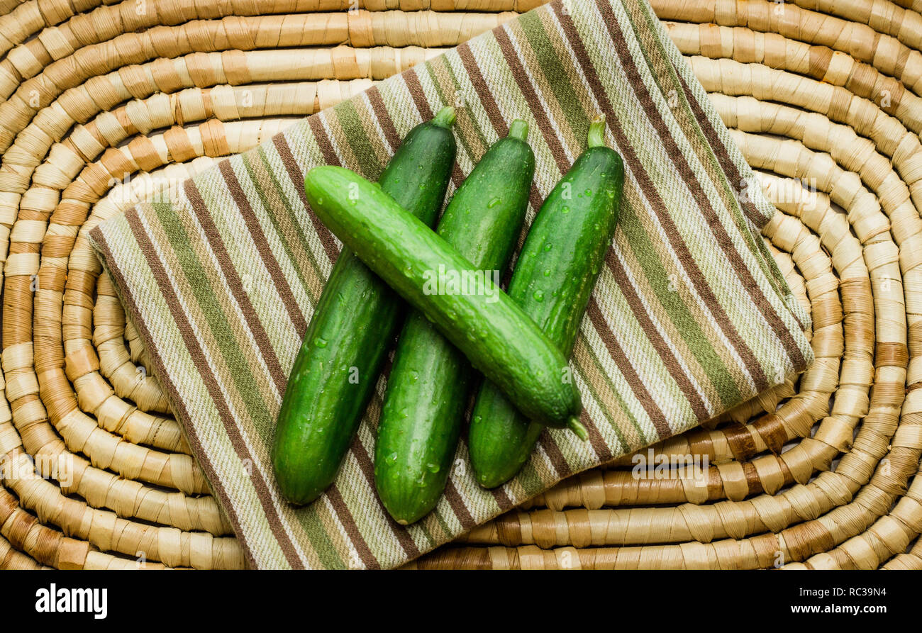 Mini cucumbers are a sweet, crisp, and fresh addition to any meal