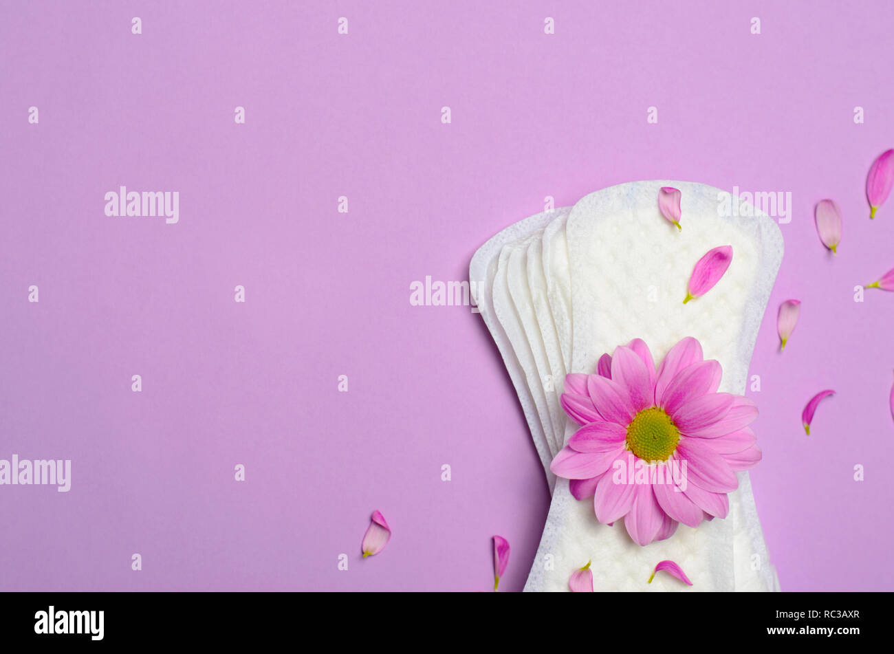 Woman’s Sanitary Pads and Gerbera Daisy Flower on Pink Background