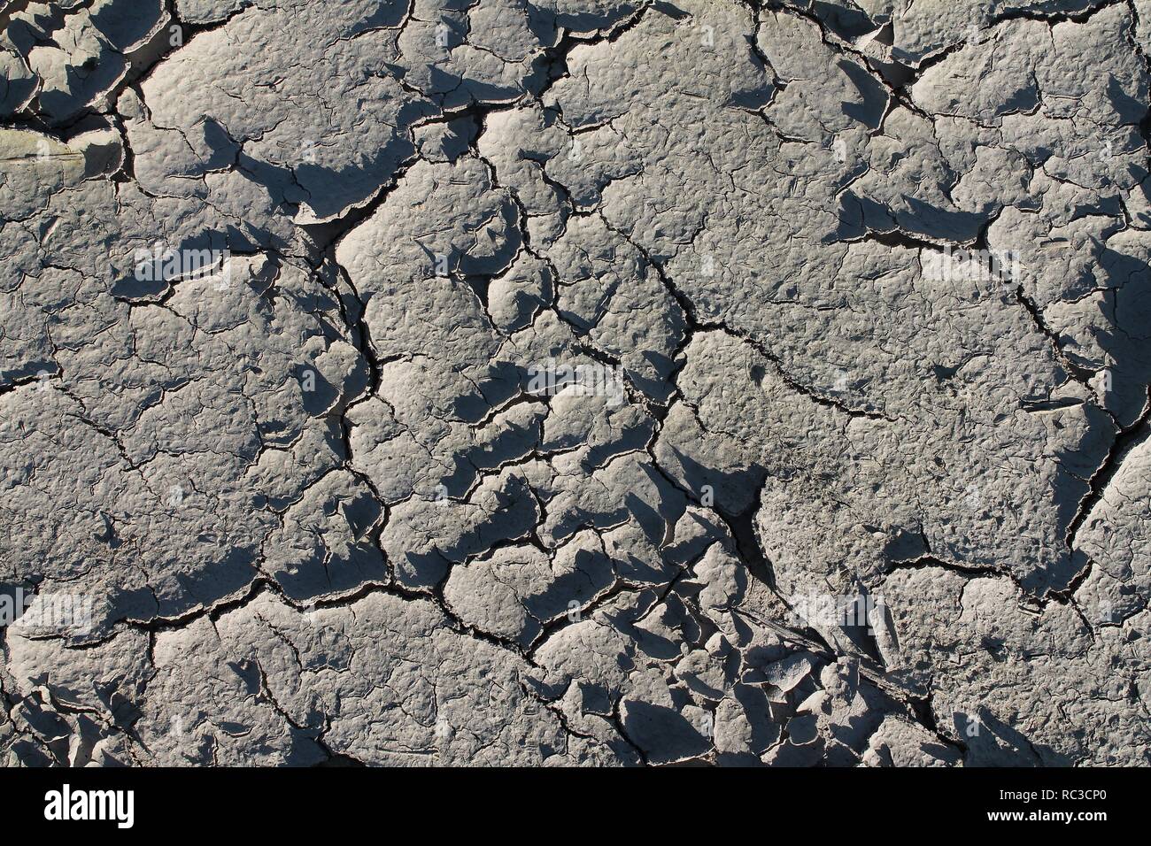 Close up high resolution surface of sand and dirt Stock Photo - Alamy