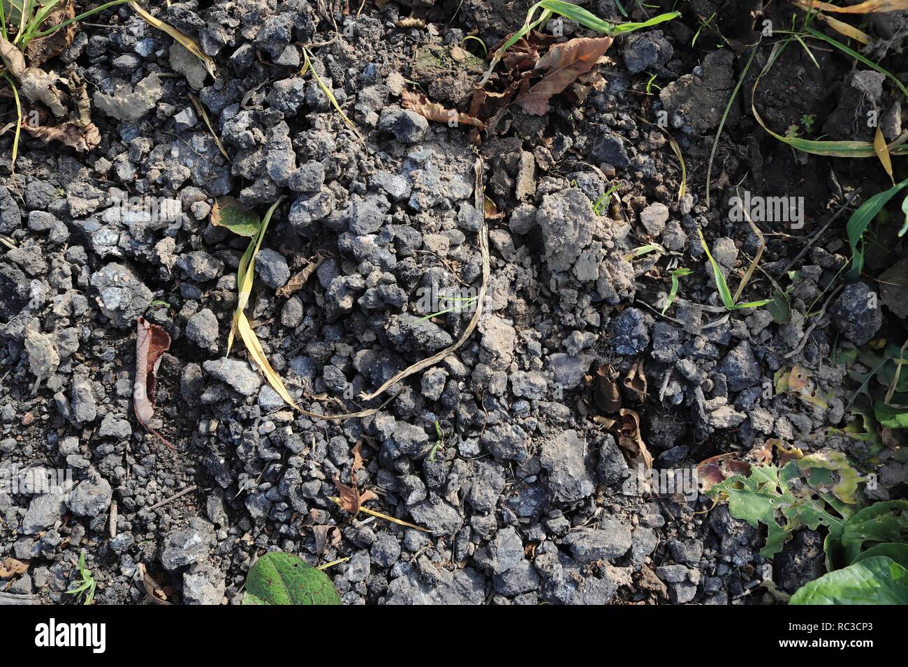Close up high resolution surface of sand and dirt Stock Photo - Alamy