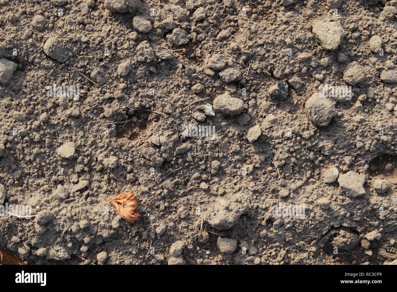 Close up high resolution surface of sand and dirt Stock Photo - Alamy