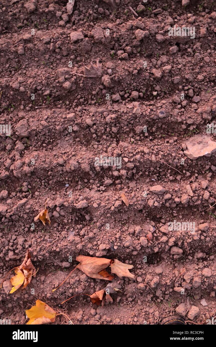 Close up high resolution surface of sand and dirt Stock Photo - Alamy