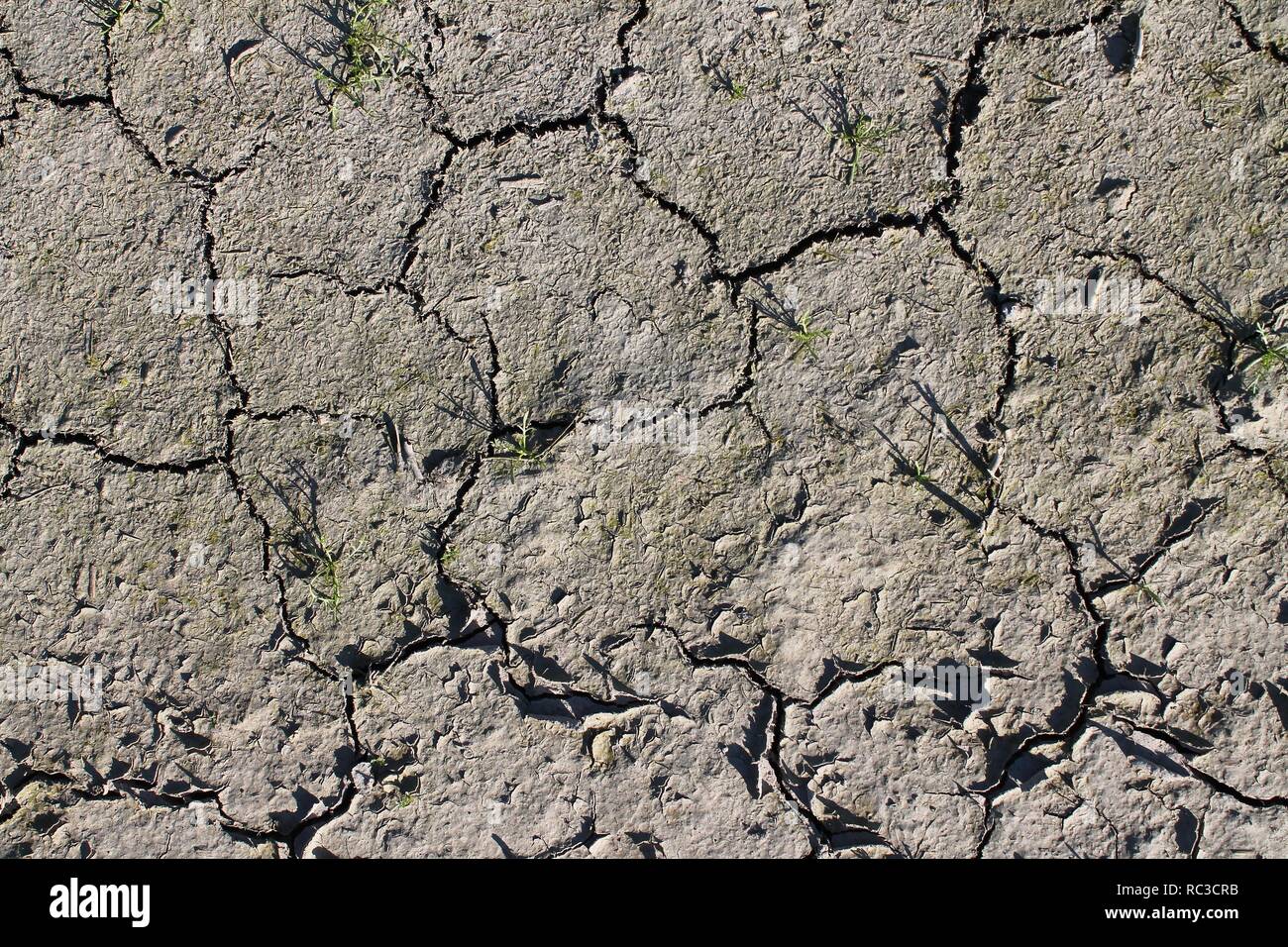 Close up high resolution surface of sand and dirt Stock Photo - Alamy