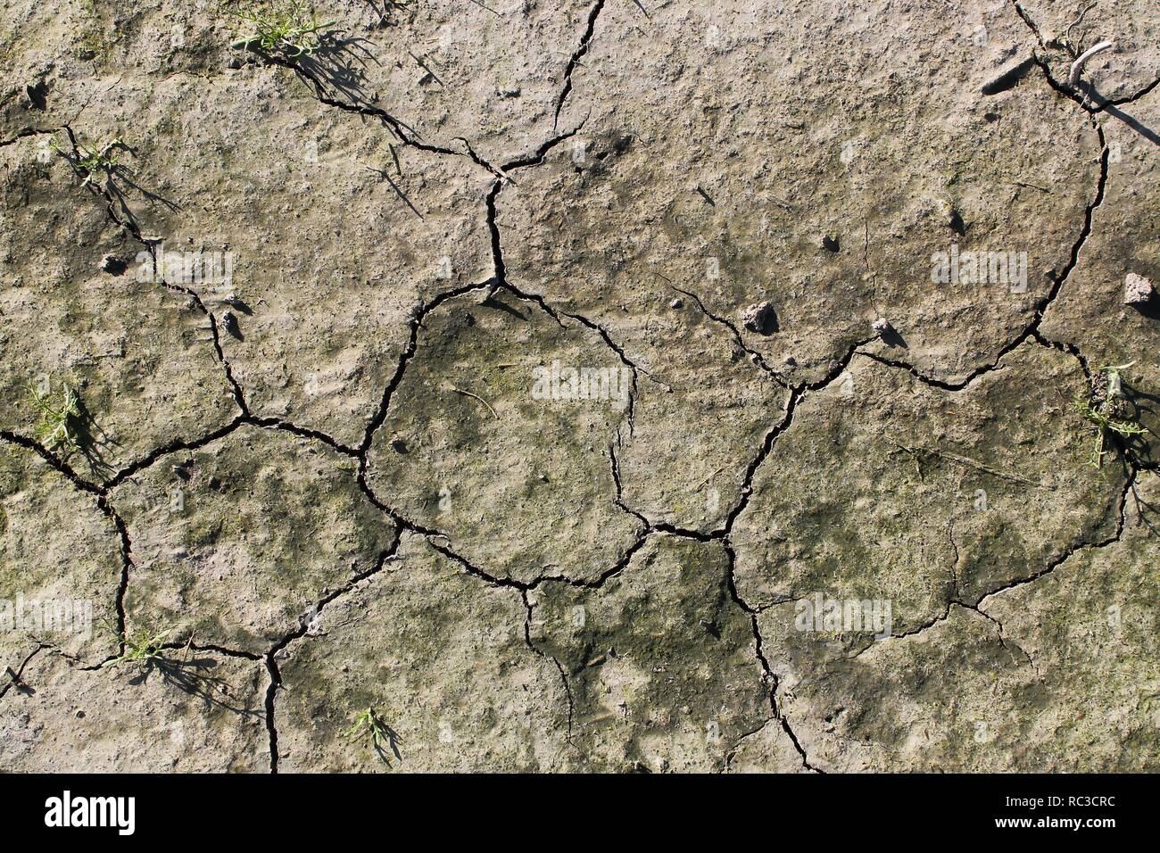 Close up high resolution surface of sand and dirt Stock Photo - Alamy