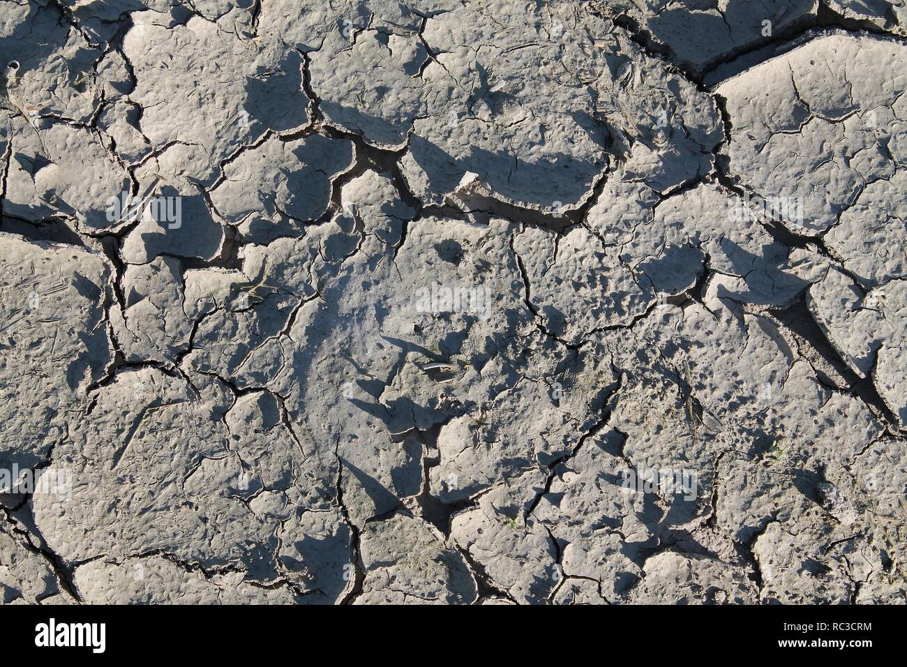 Close up high resolution surface of sand and dirt Stock Photo - Alamy