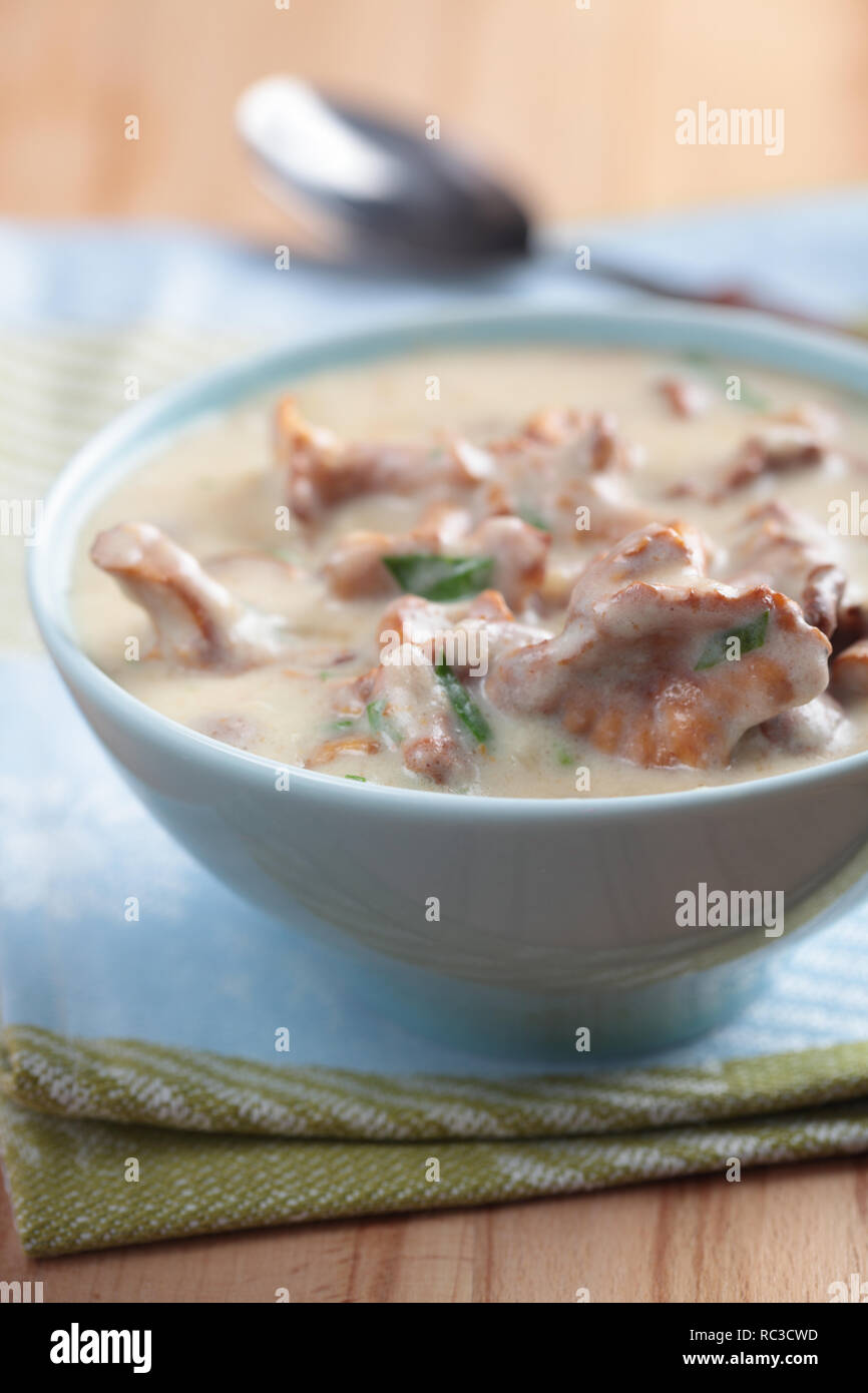 Cream soup with chanterelle mushrooms and coriander closeup Stock Photo