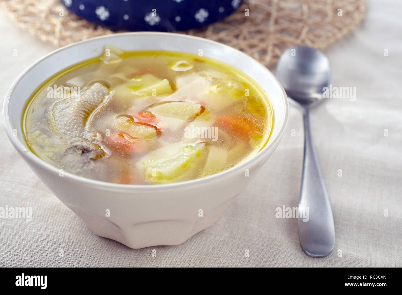 Duck soup with vegetables and pasta Stock Photo
