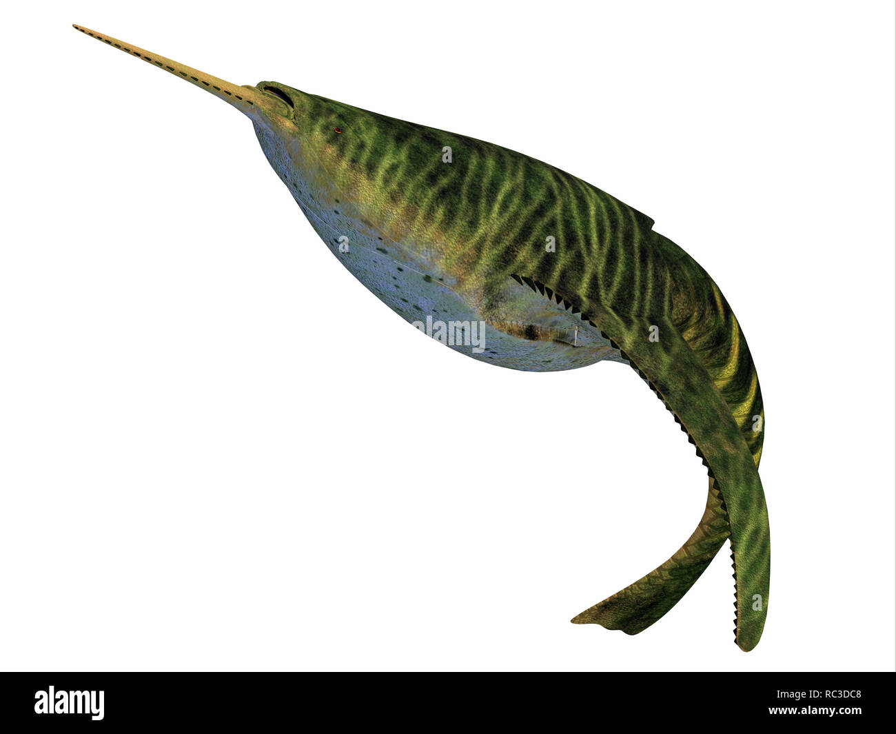 Doryaspis Fish - Doryaspis is an extinct primitive jawless fish that lived in the seas of the early Devonian Period. Stock Photo