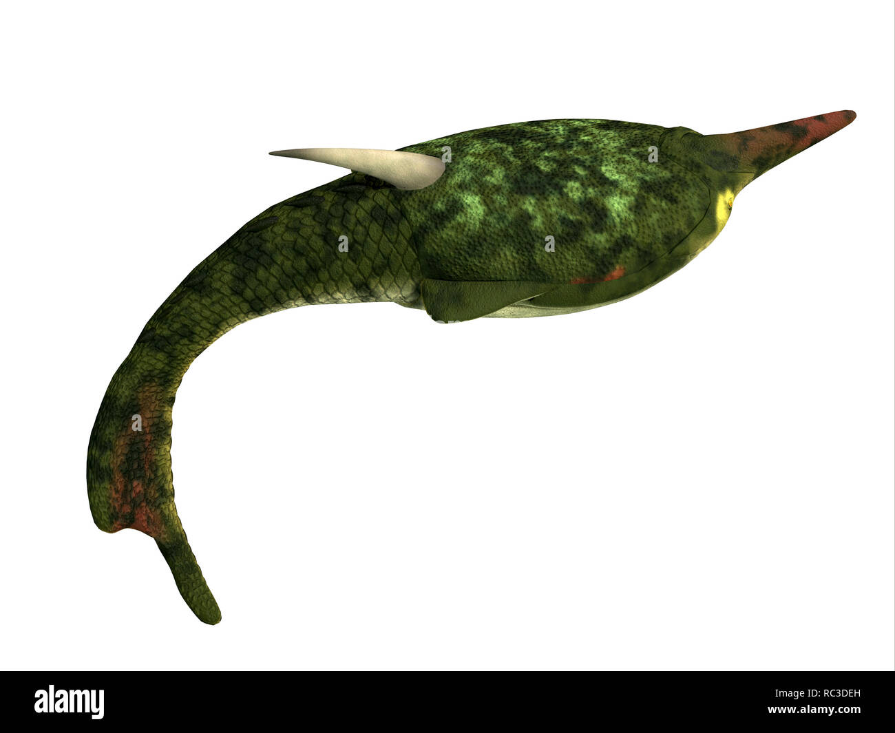 Pteraspis Fish Side Profile - Pteraspis was a primitive jawless fish that lived in the oceans of the Devonian Period. Stock Photo