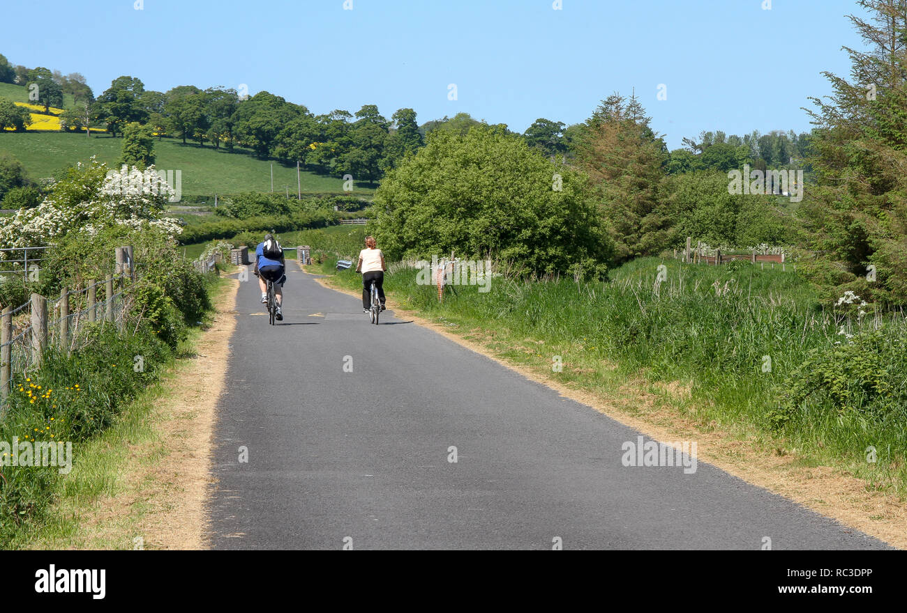 Two people cycling on the Newry Canal towpath at Jerrettspass, County Down, Northern Ireland. Stock Photo