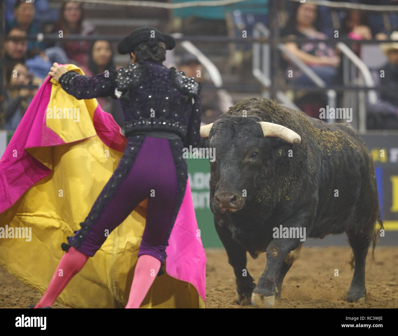 Denver, Colorado, USA. 13th Jan, 2019. Mexican Matador awaits the