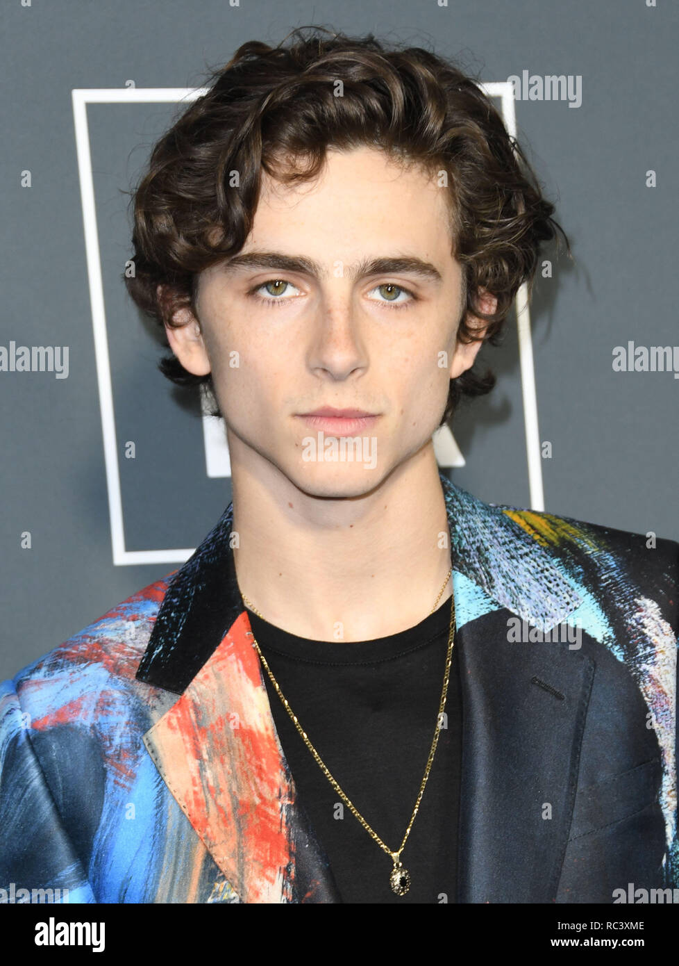 Santa Monica, California, USA. 13th Jan, 2019. TIMOTHEE CHALAMET ...