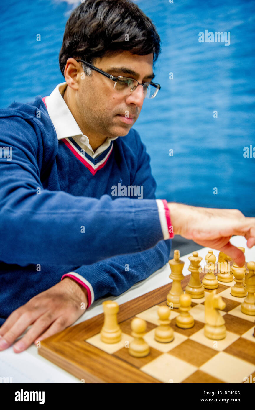 360 Indian Viswanathan Anand Stock Photos, High-Res Pictures, and