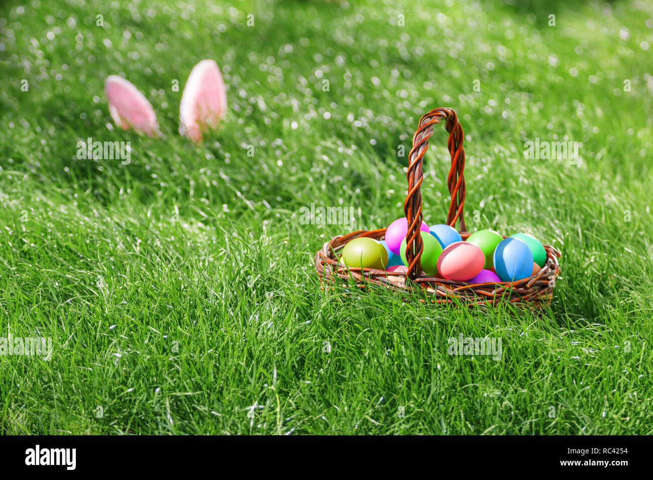 bunny ears on green grass and easter eggs in basket. Stock Photo