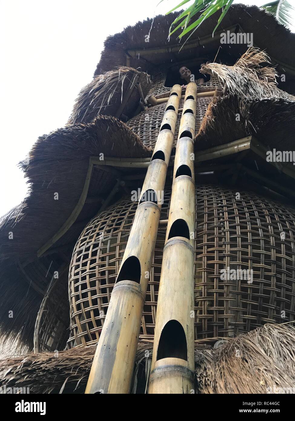 Treehouse in Bali Stock Photo