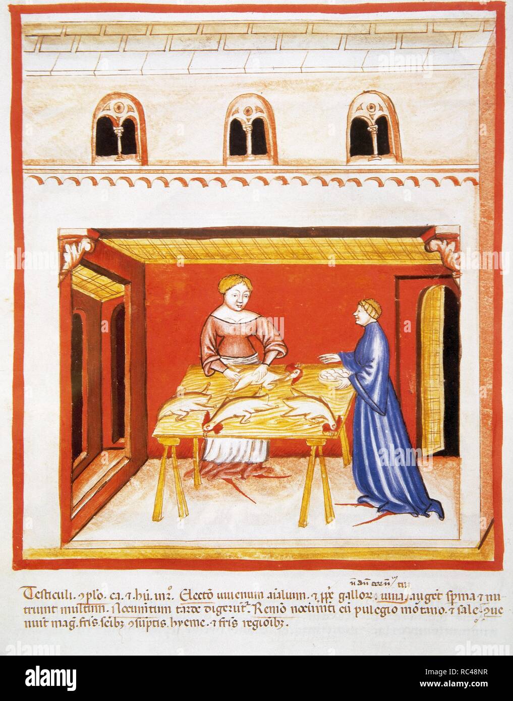 Tacuinum Sanitatis. 14th century. Medieval handbook of health. Women that are clearing chikens. Miniature. Fol. 79 v. Stock Photo