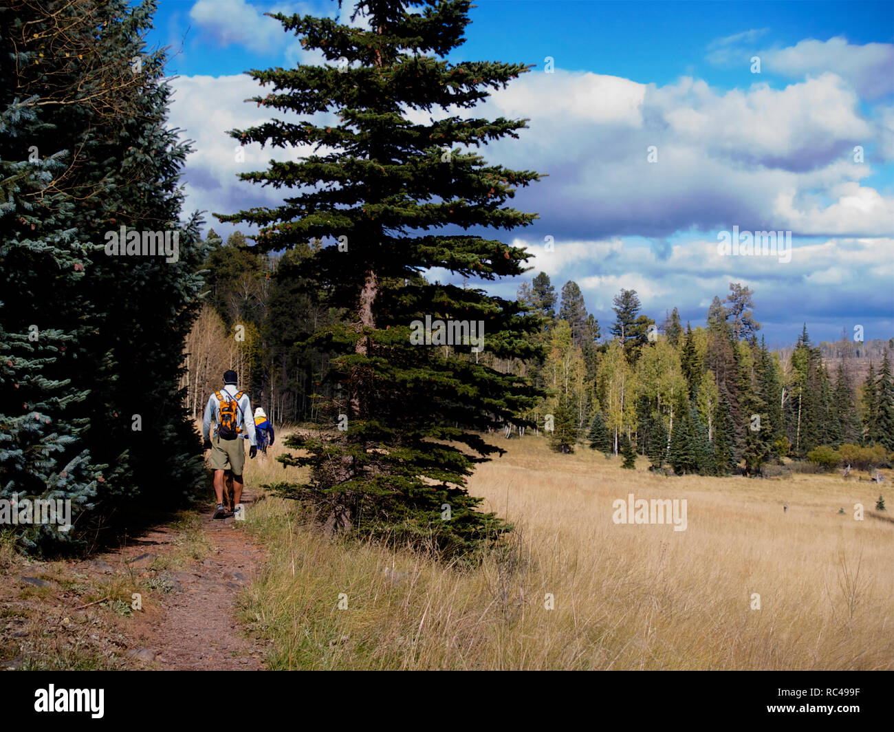 Hiking in AZ Stock Photo Alamy